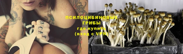 амф Абдулино