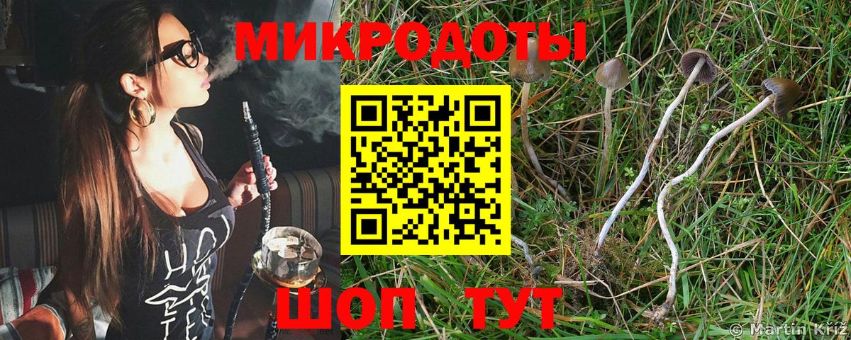 наркота  Вход с VPN  Одинцово  Галлюциногенные грибы Psilocybine cubensis 