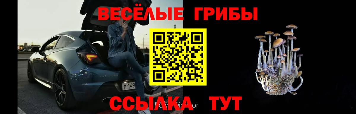 Галлюциногенные грибы Psilocybine cubensis Одинцово
